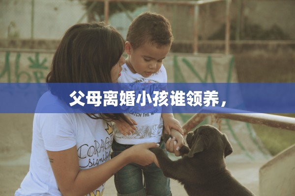 父母离婚小孩谁领养, 父母离婚小孩谁领养,