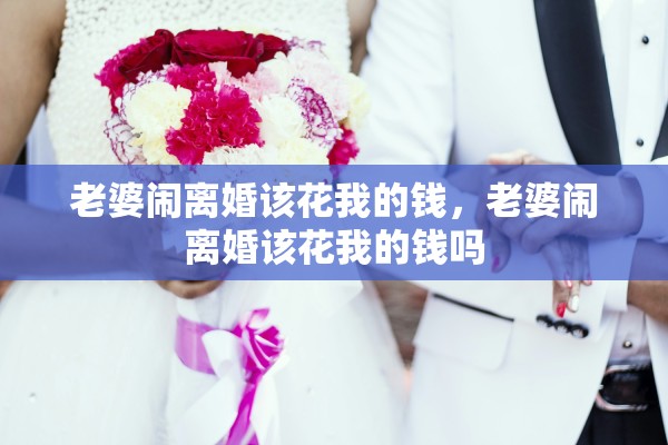 老婆闹离婚该花我的钱,老婆闹离婚该花我的钱吗 老婆闹离婚该花我的钱,老婆闹离婚该花我的钱吗