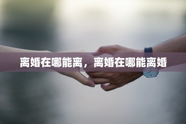 离婚在哪能离，离婚在哪能离婚