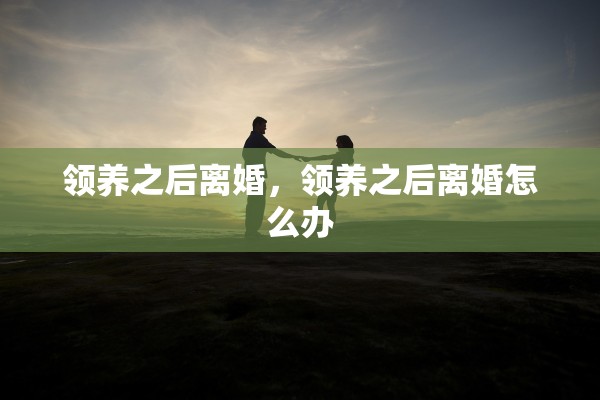 领养之后离婚，领养之后离婚怎么办
