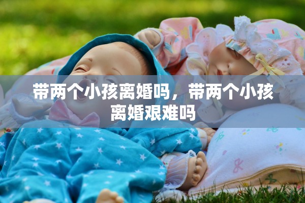 带两个小孩离婚吗，带两个小孩离婚艰难吗