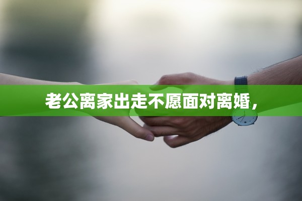 老公离家出走不愿面对离婚, 老公离家出走不愿面对离婚,