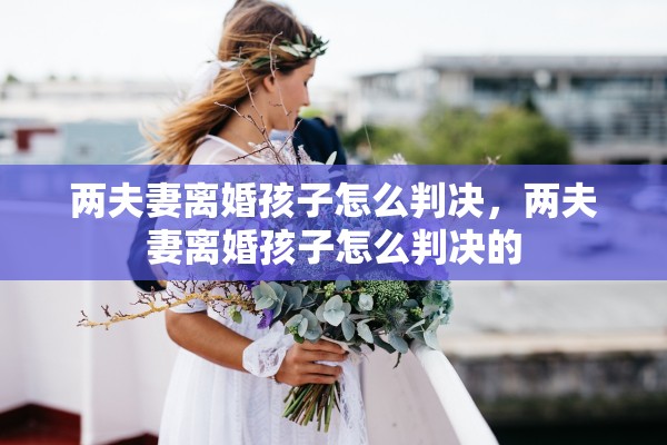 两夫妻离婚孩子怎么判决，两夫妻离婚孩子怎么判决的