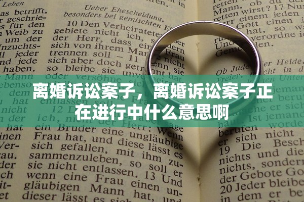 离婚诉讼案子，离婚诉讼案子正在进行中什么意思啊