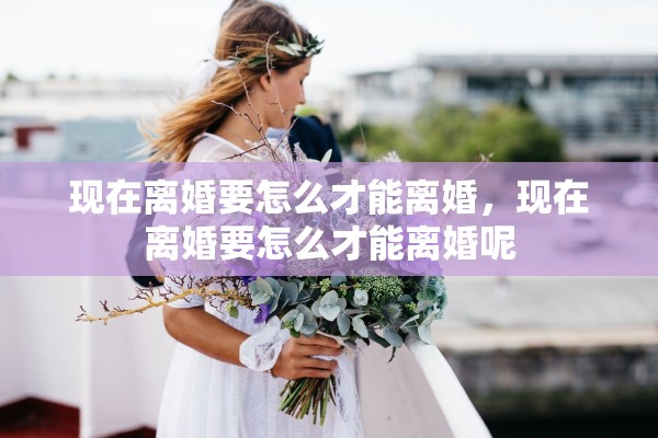 现在离婚要怎么才能离婚，现在离婚要怎么才能离婚呢