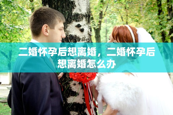 二婚怀孕后想离婚，二婚怀孕后想离婚怎么办