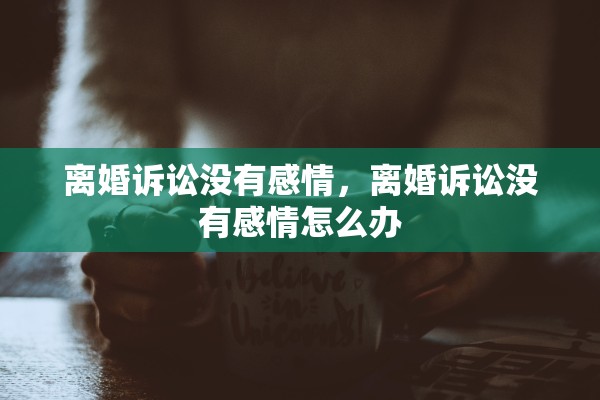 离婚诉讼没有感情，离婚诉讼没有感情怎么办