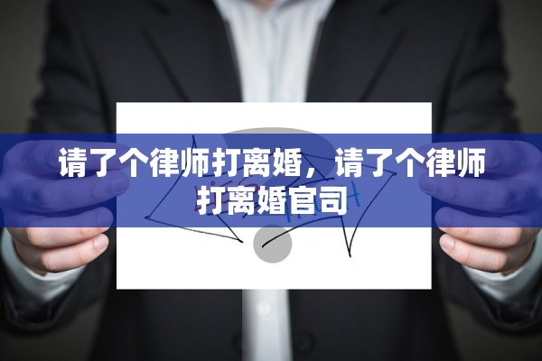 请了个律师打离婚，请了个律师打离婚官司