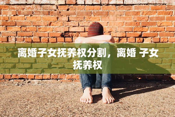 离婚子女抚养权分割，离婚 子女抚养权