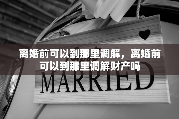 离婚前可以到那里调解,离婚前可以到那里调解财产吗 离婚前可以到那里调解,离婚前可以到那里调解财产吗