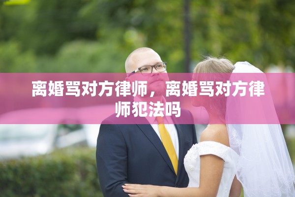离婚骂对方律师，离婚骂对方律师犯法吗