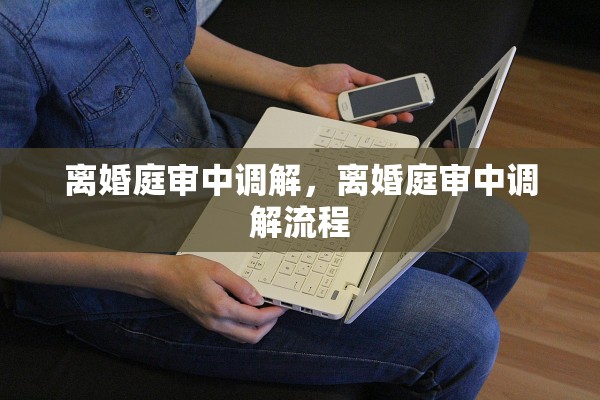 离婚庭审中调解，离婚庭审中调解流程