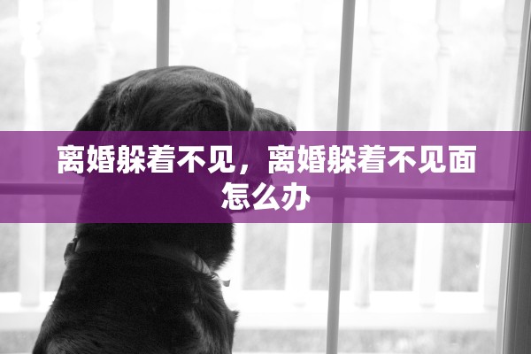 离婚躲着不见,离婚躲着不见面怎么办 离婚躲着不见,离婚躲着不见面怎么办