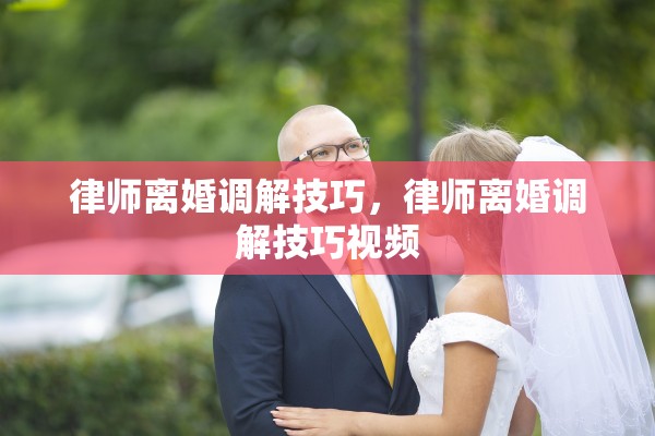 律师离婚调解技巧,律师离婚调解技巧视频 律师离婚调解技巧,律师离婚调解技巧视频