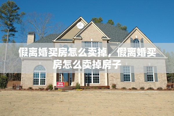 假离婚买房怎么卖掉，假离婚买房怎么卖掉房子