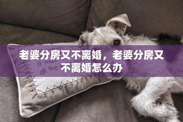 老婆分房又不离婚,老婆分房又不离婚怎么办 老婆分房又不离婚,老婆分房又不离婚怎么办