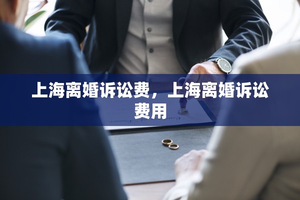 上海离婚诉讼费,上海离婚诉讼费用 上海离婚诉讼费,上海离婚诉讼费用