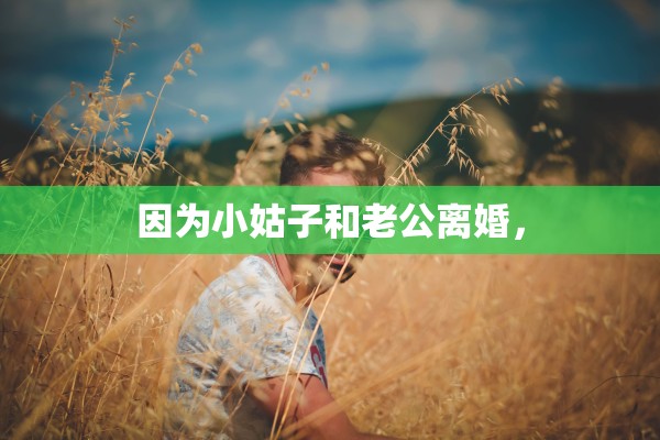 因为小姑子和老公离婚, 因为小姑子和老公离婚,