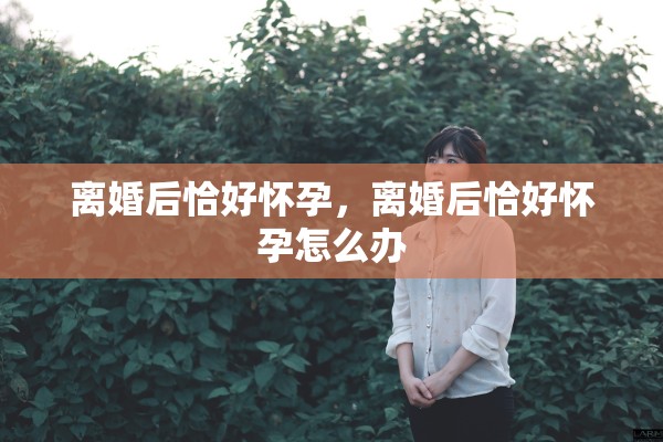 离婚后恰好怀孕，离婚后恰好怀孕怎么办