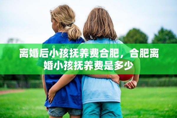 离婚后小孩抚养费合肥，合肥离婚小孩抚养费是多少