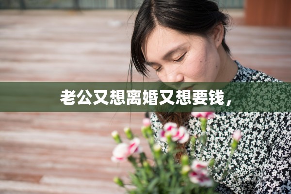老公又想离婚又想要钱, 老公又想离婚又想要钱,