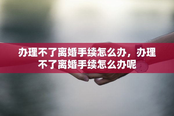 办理不了离婚手续怎么办，办理不了离婚手续怎么办呢