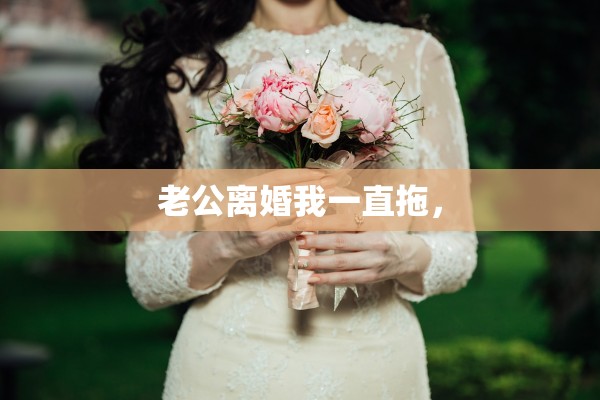老公离婚我一直拖, 老公离婚我一直拖,
