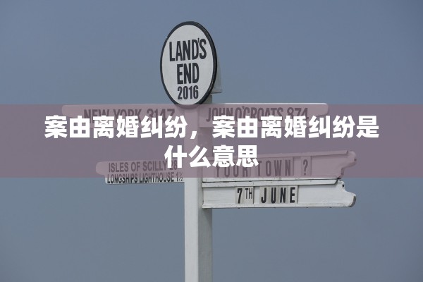 案由离婚纠纷,案由离婚纠纷是什么意思 案由离婚纠纷,案由离婚纠纷是什么意思