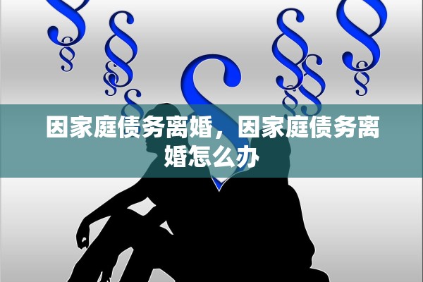 因家庭债务离婚，因家庭债务离婚怎么办