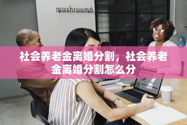 社会养老金离婚分割,社会养老金离婚分割怎么分 社会养老金离婚分割,社会养老金离婚分割怎么分