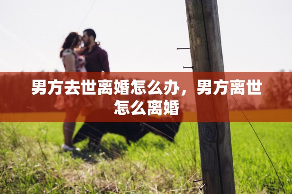 男方去世离婚怎么办,男方离世怎么离婚 男方去世离婚怎么办,男方离世怎么离婚