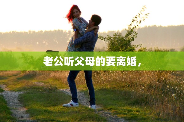 老公听父母的要离婚, 老公听父母的要离婚,